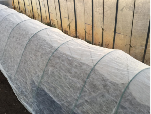 PP non-woven fabric in agriculture