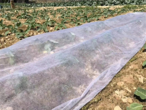 PP non-woven fabric in agriculture