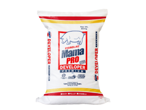 PP woven sack