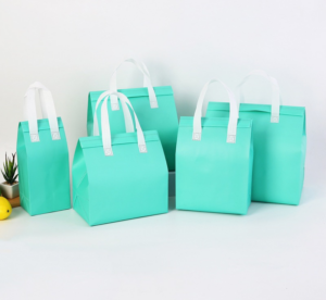 Best non-woven insulated bags for food & shopping